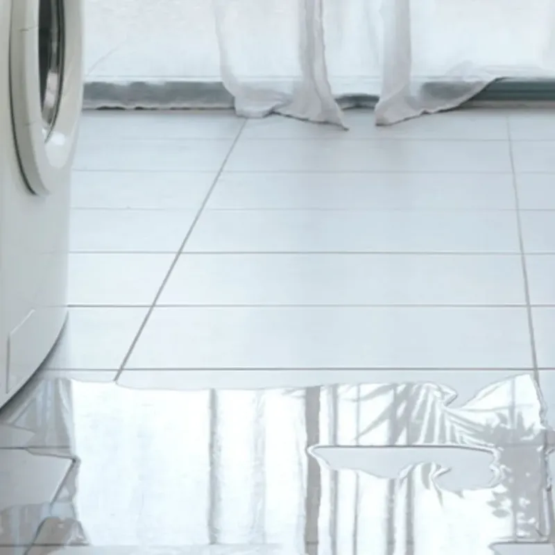 Appliance Leak Cleanup in Sutton County, TX