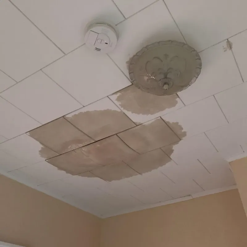 Ceiling Water Damage Repair in Sutton County, TX