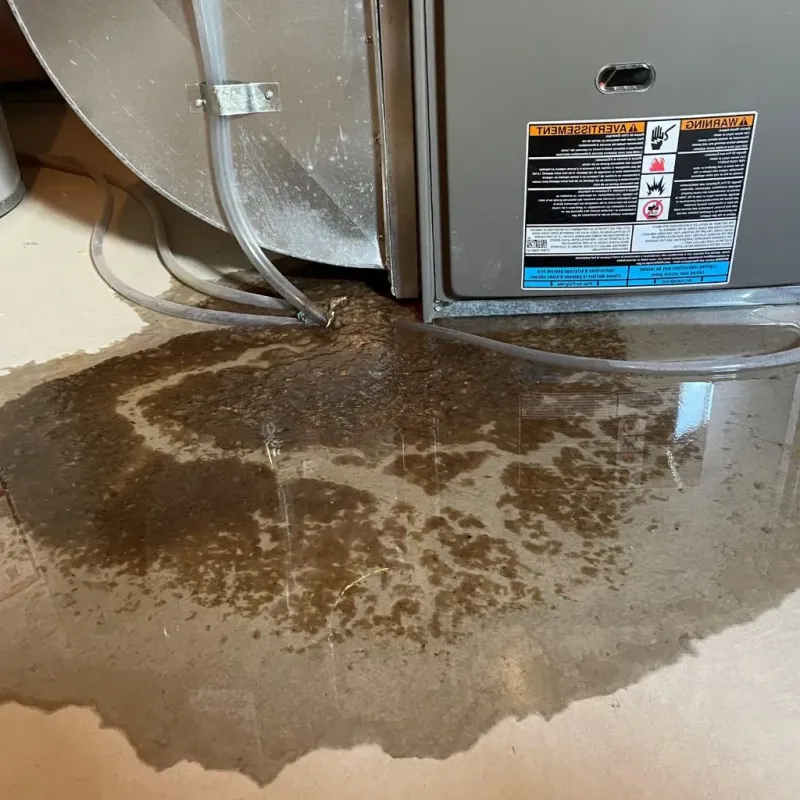 Pipe Burst and Leak Restoration in Sutton County, TX