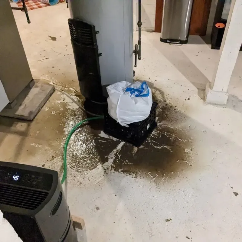 Sewage Backup Cleanup Service in Sutton County, TX